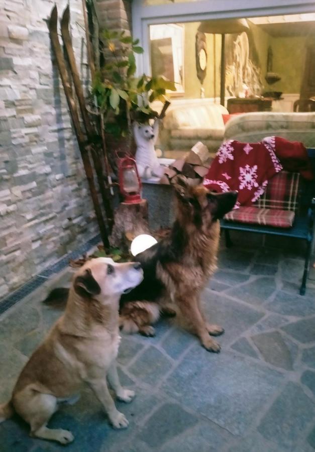 B&B Casa Dell'Orso 루리시아 외부 사진